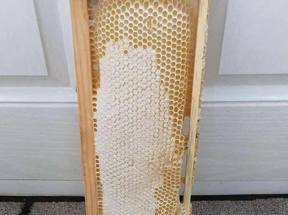 Hedgeley Honey Relocation